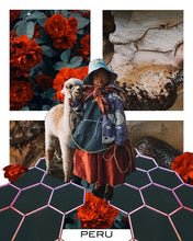 Load image into Gallery viewer, Little (Peru) Art Hoodie